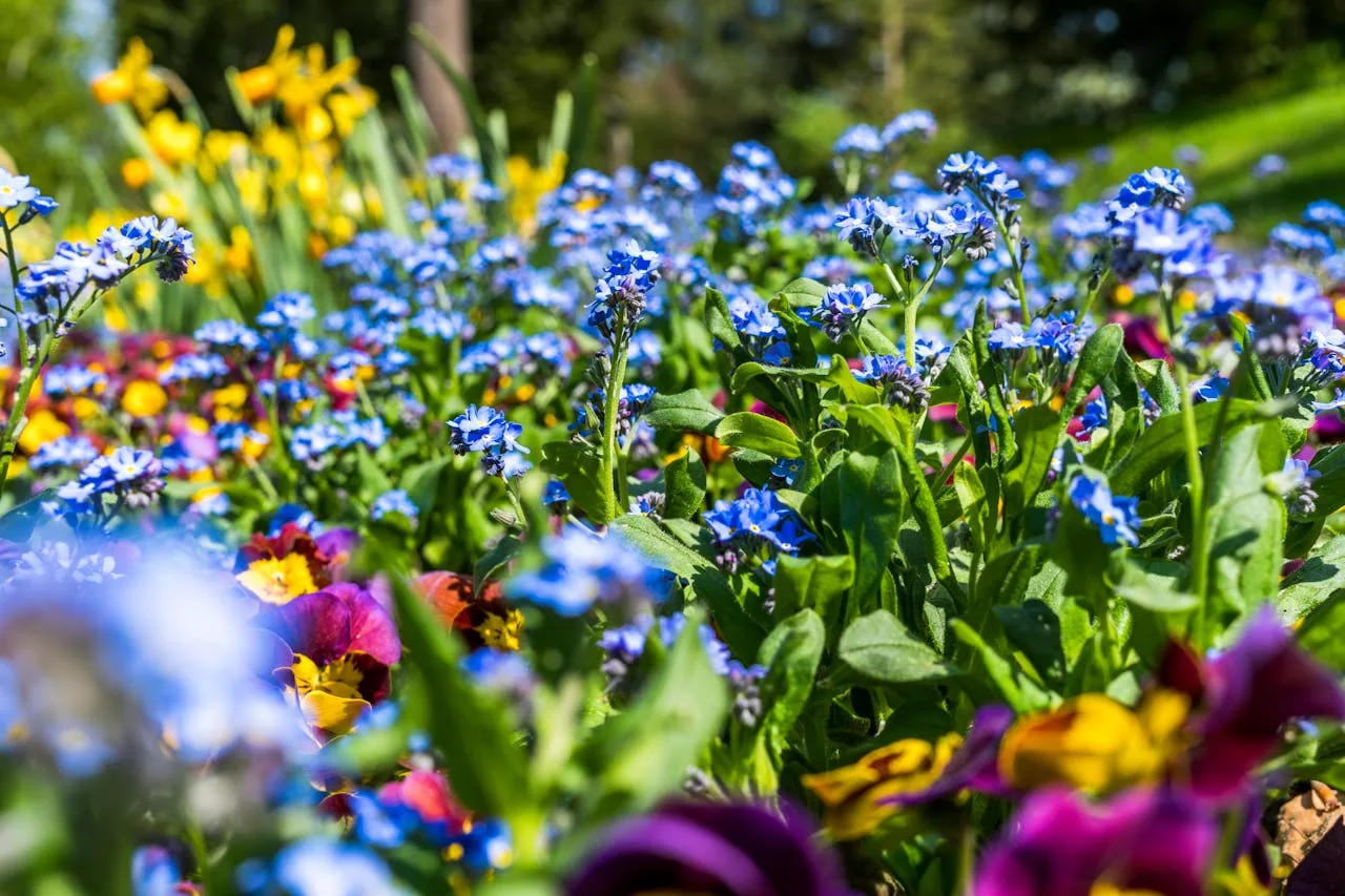 flower beds