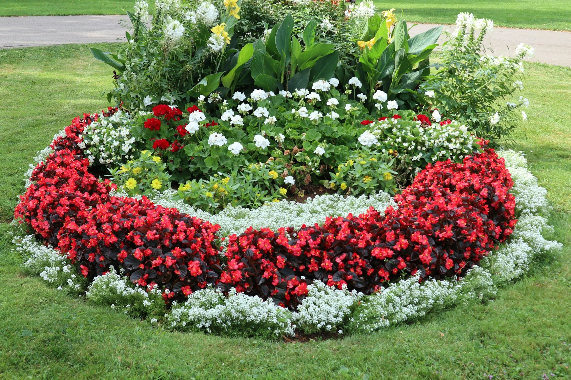 garden bed
