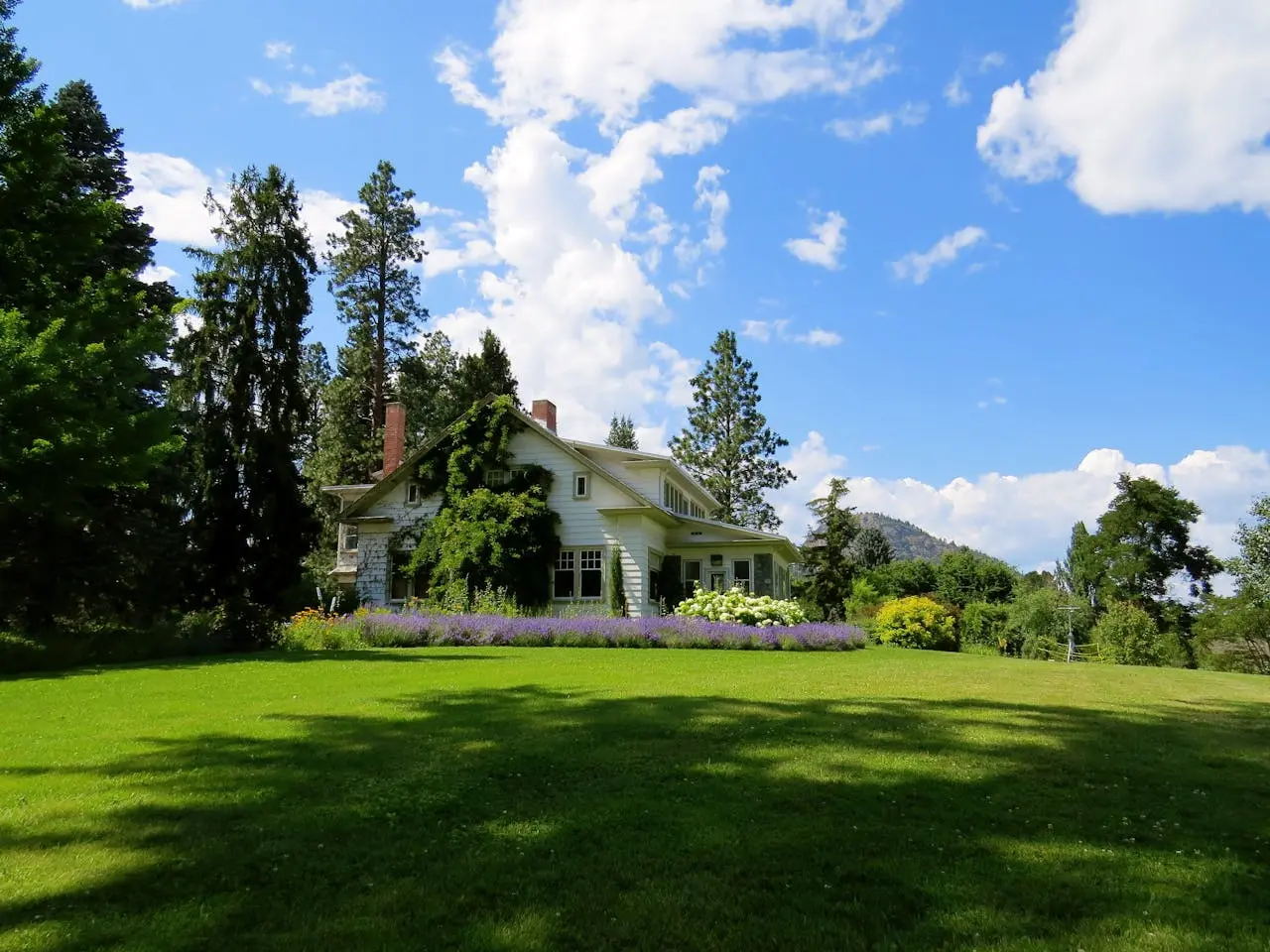 landscaped area