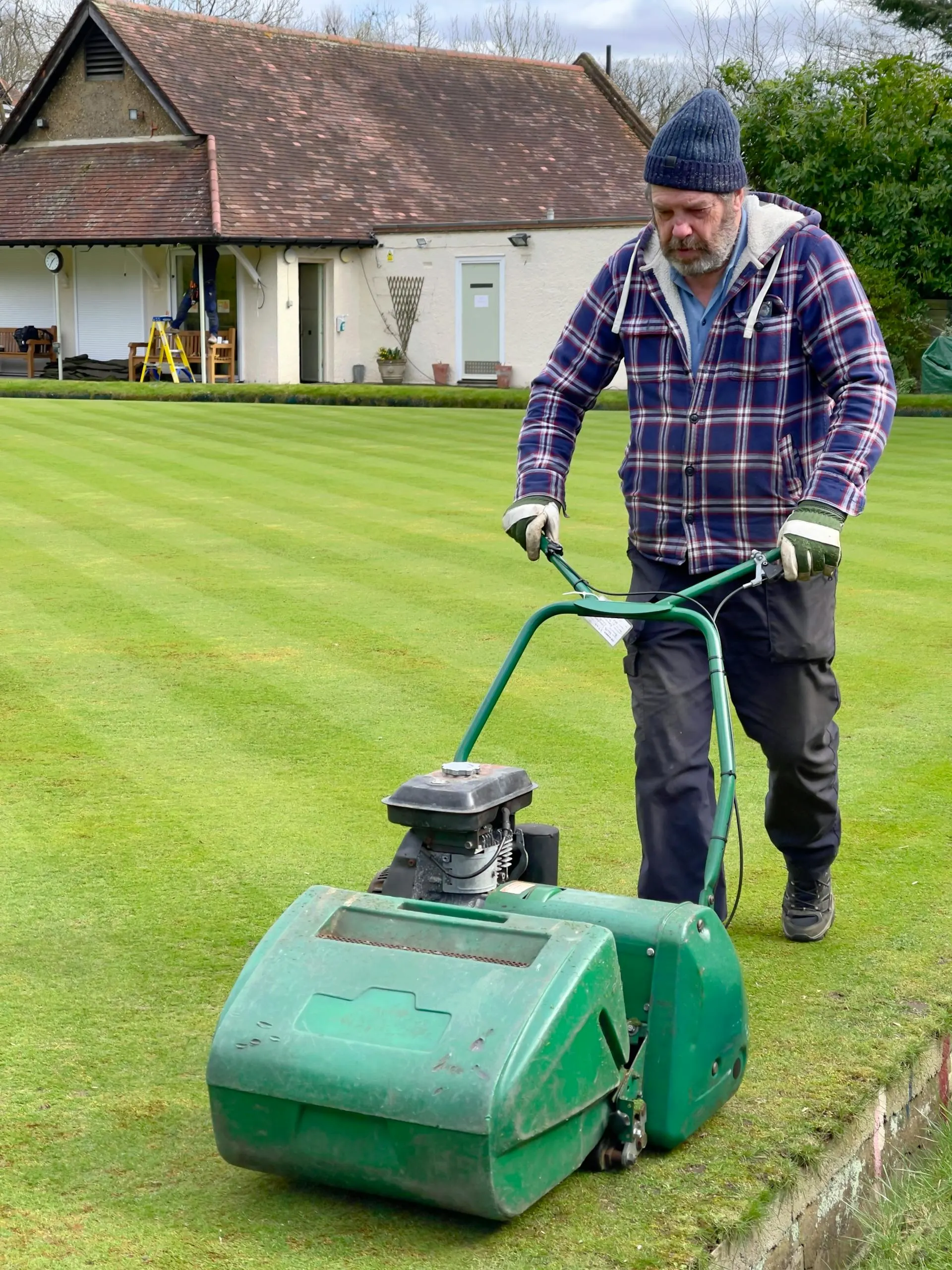 lawn maintenance